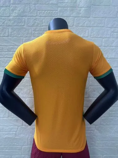 Camiseta de la selección de Costa de Marfil para partidos en casa, 24-25