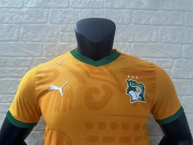 Camiseta de la selección de Costa de Marfil para partidos en casa, 24-25