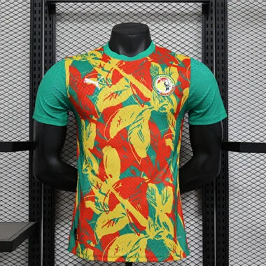 24-25 Ivory Coast Pre-match Player version jersey