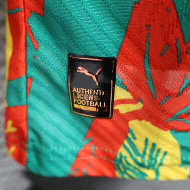 24-25 Ivory Coast Pre-match Player version jersey