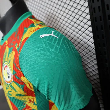 24-25 Ivory Coast Pre-match Player version jersey