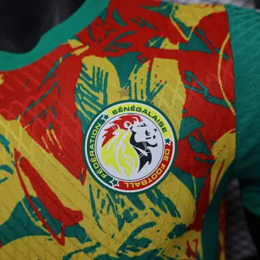 24-25 Ivory Coast Pre-match Player version jersey