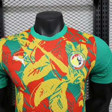 24-25 Ivory Coast Pre-match Player version jersey