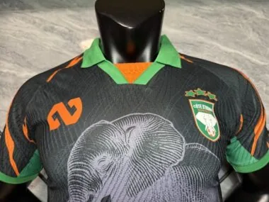 Costa de Marfil 2025/06: Camiseta negra, versión especial para jugadores (tallas S-2XL)