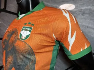 Ivory Coast 2025/06 Orange Special Player Version Jersey (S-2XL)