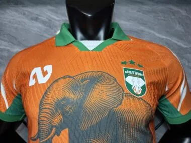 Ivory Coast 2025/06 Orange Special Player Version Jersey (S-2XL)