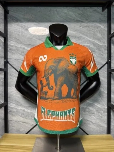 Ivory Coast 2025/06 Orange Special Player Version Jersey (S-2XL)