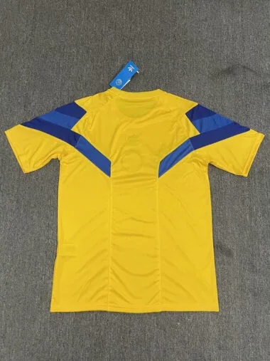 24-25 Tigres yellow Special Jersey
