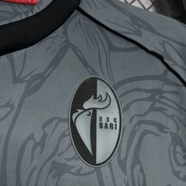 24-25 SSC Bari grijs shirt (S-XXL)
