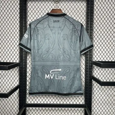 24-25 SSC Bari grijs shirt (S-XXL)