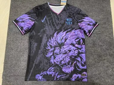 Barcelona 2025/26 Black and Purple Special Edition Jersey