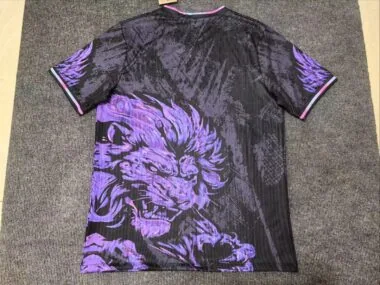 Barcelona 2025/26 Black and Purple Special Edition Jersey