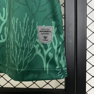 25-26 Real Betis green special jersey