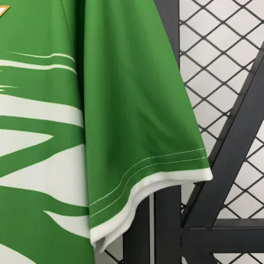 25-26 Real Betis ninja special jersey