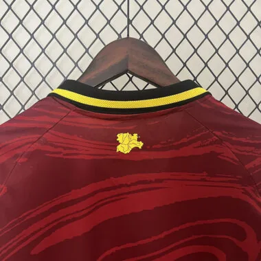 24-25 Valladolid third away jersey (S-XXL)