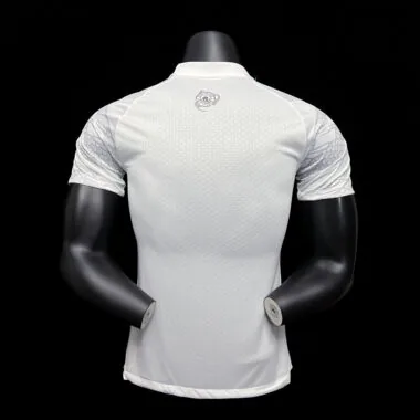 24-25 Manchester City dragon special player version jersey