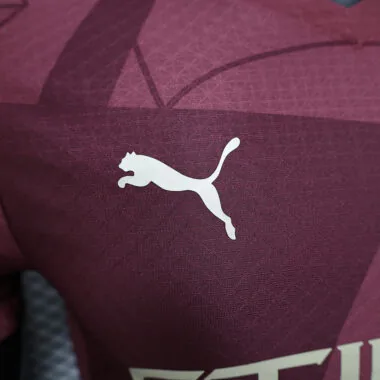 24-25 Manchester City third away player version jersey