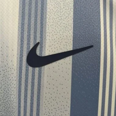 24-25 Tottenham away Jersey