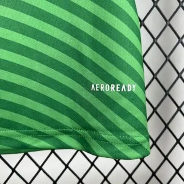 25-26 Newcastle Away Soccer Jersey