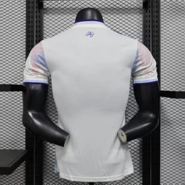 25-26 Aston villa third away player version jersey