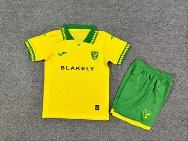 Equipamento infantil para jogos em casa do Norwich City 25-26