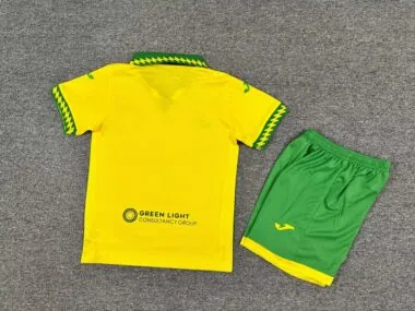 Equipamento infantil para jogos em casa do Norwich City 25-26
