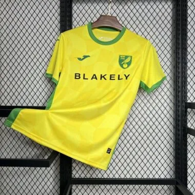 Norwich City home Jersey