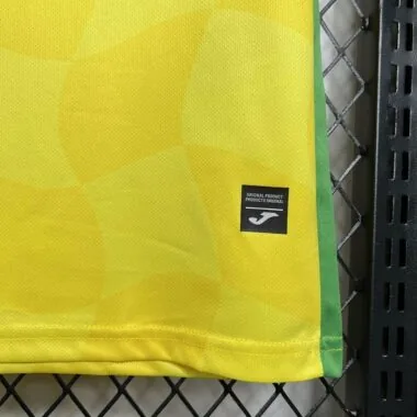 Norwich City home Jersey