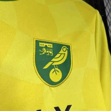 Norwich City home Jersey