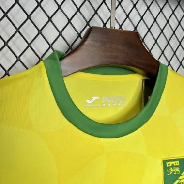 Norwich City home Jersey