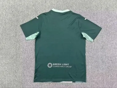 Norwich City 2025-26 away Jersey