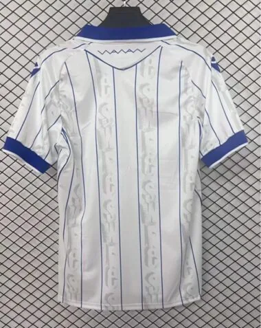 25-26 Sheffield Wednesday third Jersey