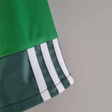 10-11 Palmeiras home