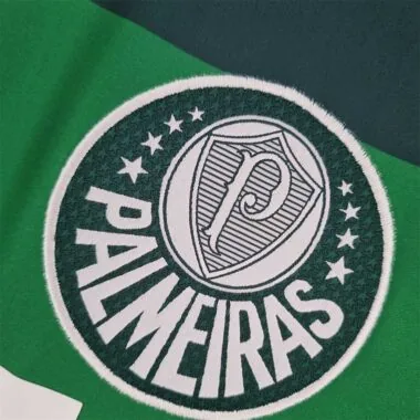 10-11 Palmeiras home
