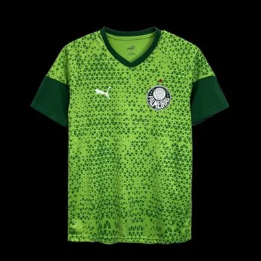 24/25 Palmeiras Training clothes Green