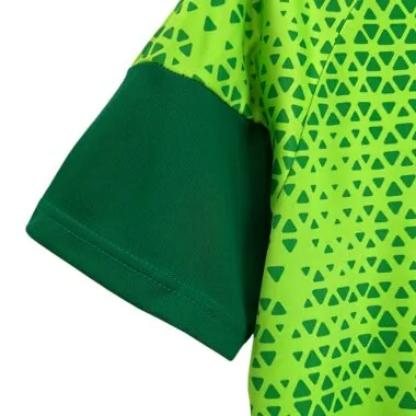 24/25 Palmeiras Training clothes Green