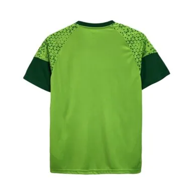 24/25 Palmeiras Training clothes Green