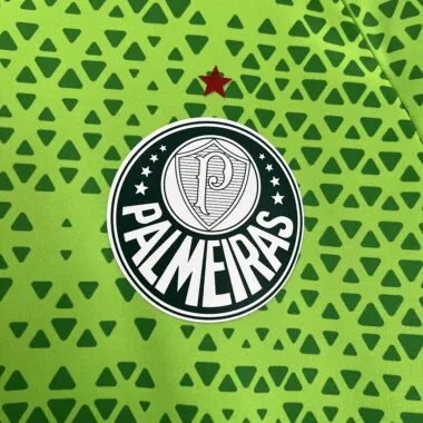 24/25 Palmeiras Training clothes Green