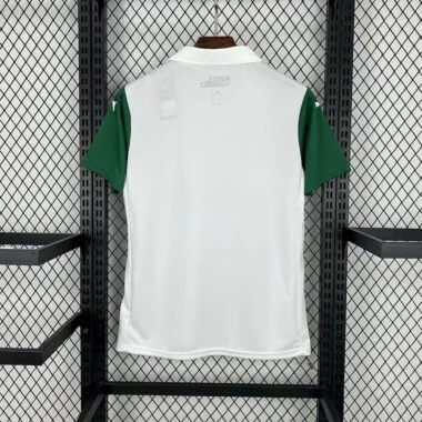25-26 Palmeiras away jersey