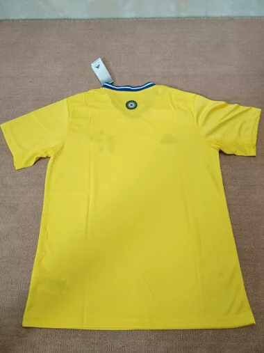 24-25 Cruzeiro away yellow Jersey
