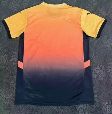 25-26 Galatasaray orange and black special jersey