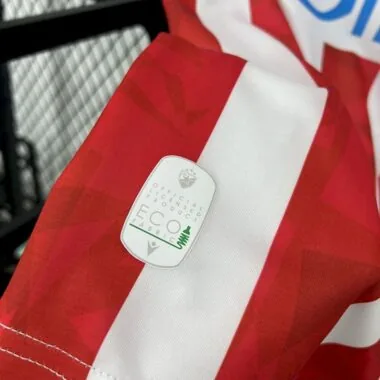 24-25 Red Star Belgrade Home Soccer Jersey