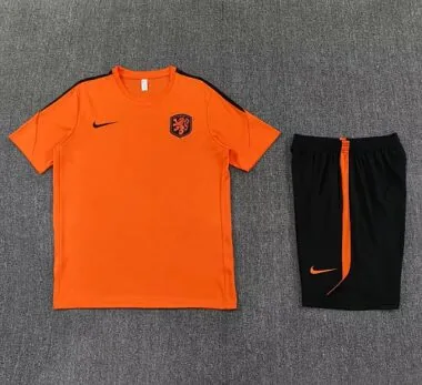 Nethelands 2026 Orange Training suit size S-2XL