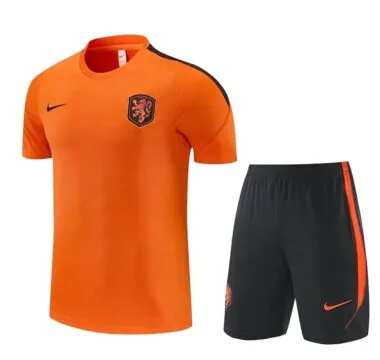 Nethelands 2026 Orange Training suit (S-2XL)