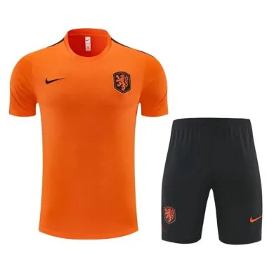 Nethelands 2026 Orange Training suit (S-2XL)