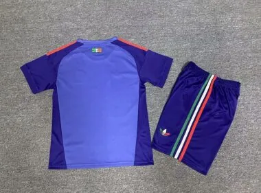 Mexico 2026 World Cup Purple Goalkeeper Kid kit (Size 16-28)