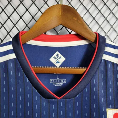 2018 Japan home