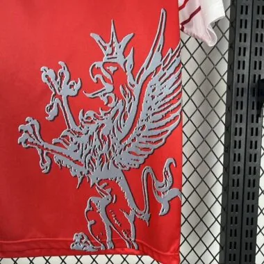 98-99 Perugia home