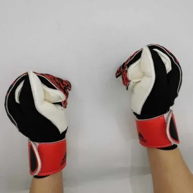 Gants de gardien de but A14 Falcon