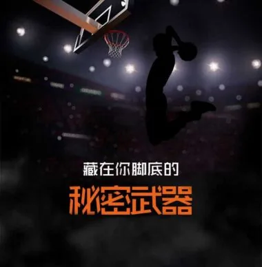 104#篮球袜